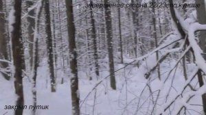 Охота капканами на куницу. Завершение сезона 22/23 г.