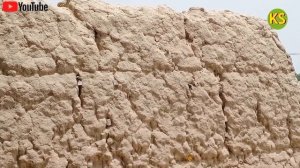 Diana 54 Airking pro vs p15 accuracy test 35 yard  best video 2021