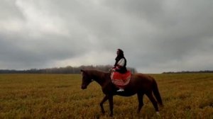 Оксана Кривова "Есаул" (cover A. Розенбаум) муз. и сл. А. Розенбаум