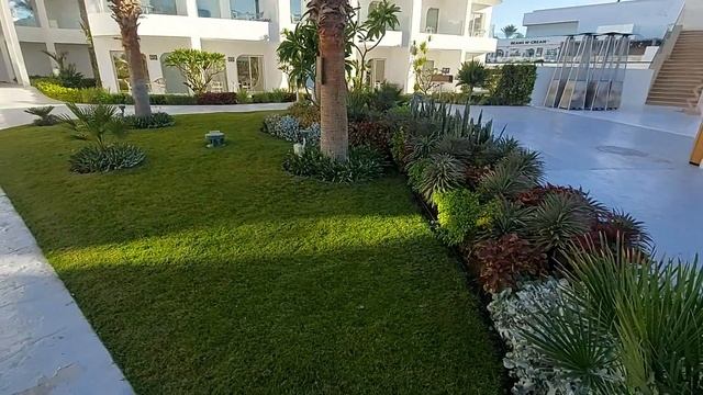 ЕГИПЕТ! Моя поездка на новогодний праздник. Часть 1. смотреть онлайн