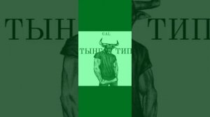 тынг тип (speed up)