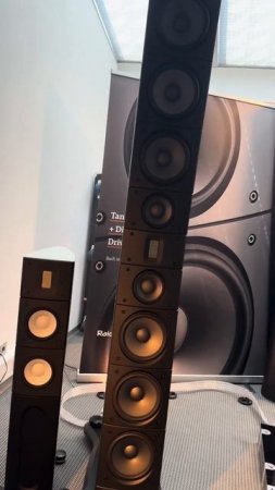 Raidho_TD6_225000_EUR_#audiophile_#hifi_#loudspeaker_#audio_#hifiaudio