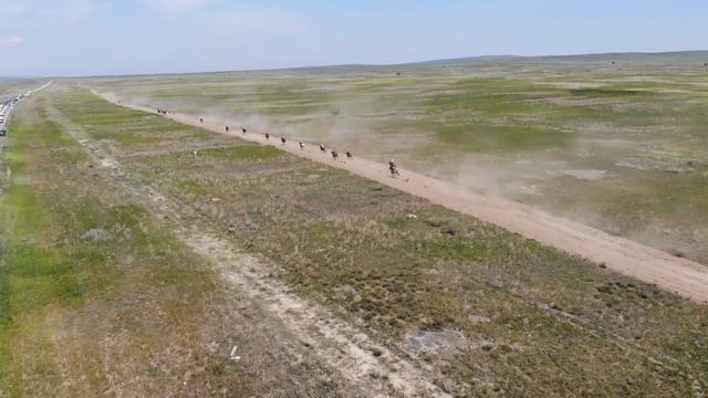 Конные скачки смотреть онлайн