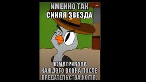 Приколы по КВ ✨ #кв #подпишись #приколы