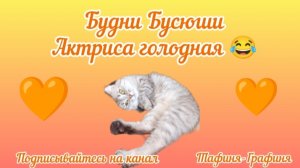 😻Голодная актриса😻😂