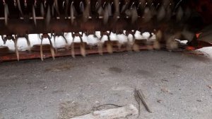 Косилка-плющилка Kuhn FC 313 TG |  Прокрутка