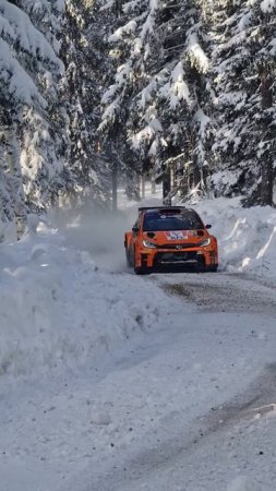 Beautyful snowy conditions 🤩 Georg Linnamäe 🇸🇪❄️ #rally #rallysweden #rallye #wrc  @georglinnamäe