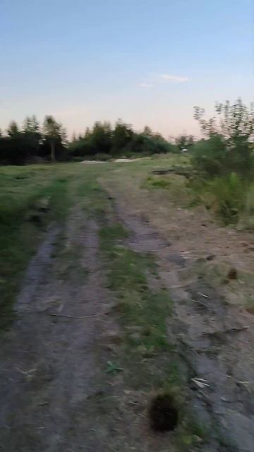 Прогулка | Через лес
