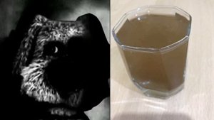 Ты выпил: (жуткие лица Бена)