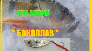 Видео игры самодельной  блесны " БОКОПЛАВ".