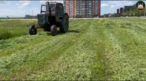 В столице масштабно и организованно проходят субботники