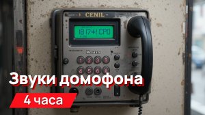 Звуки для соседей - звуки домофона