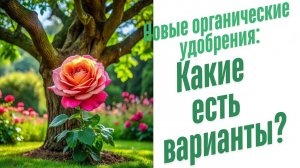 Какие новые удобрения?
