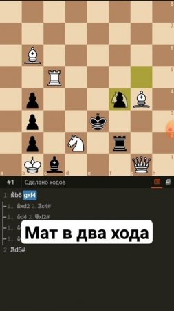 Мат в два хода. Ход белых. #chess #chessgame #chestworkout #шахматыдляновичков #этюды