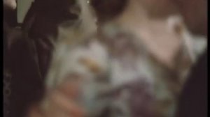 Сергей Игнатов - Южный вечер