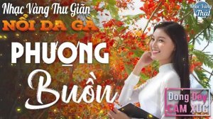 24 - 03 PHƯỢNG BUỒN - Nhạc Vàng Xưa CHỌN LỌC RU NGỦ VỀ ĐÊM ☘️ TRỮ TÌNH THƯ GIÃN ĐONG ĐẦY CẢM XÚC