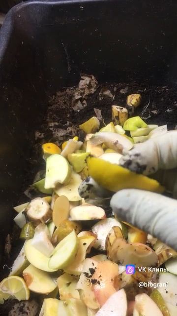 Чем мы кормим своих червей