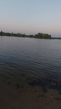 Озеро Ольшанские Карьры летом. Вблизи Смоленска, Гнездово и Ольши.