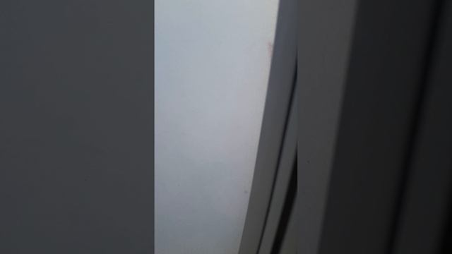 Калиниград -Москва