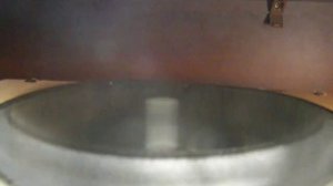 домашний саб 16см в ЧВ