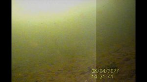 Кысыкуль 23.02.2023 года