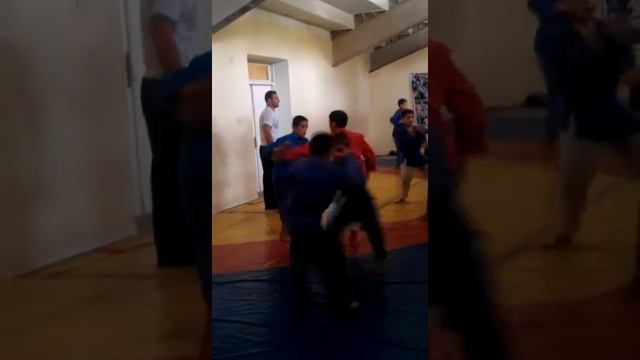 гуштини милли