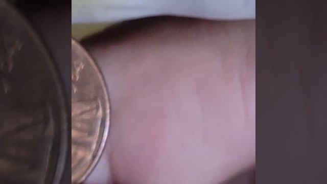 ✝️LWJF POCKET CHANGE FOUND SOME INTERESTING PENNIES ... I DONT WANT TO RUIN THE SURPRISE , BUT I FO смотреть онлайн
