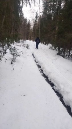 Лыжи 18км,более подробно в длином видео 25.01.25