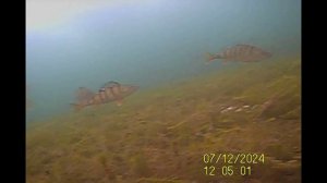 Тургояк 7 декабря 2024