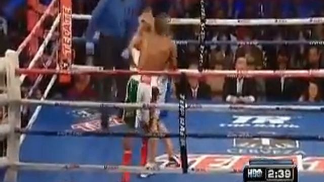 lara.is.one.dirty.boxer смотреть онлайн