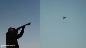 Drake mallard control | Woerden op #ShotKam Gen 4