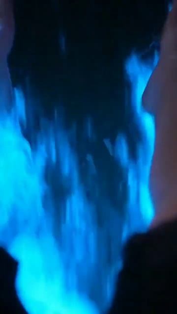 The phenomenon is called bioluminescence algea a group of tiny marine organisms смотреть онлайн