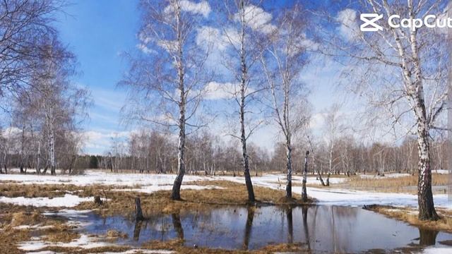 это называется весна❤️🤫🍀 смотреть онлайн