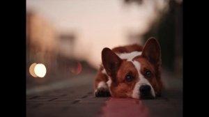 Обзор Fujifilm GFX 100