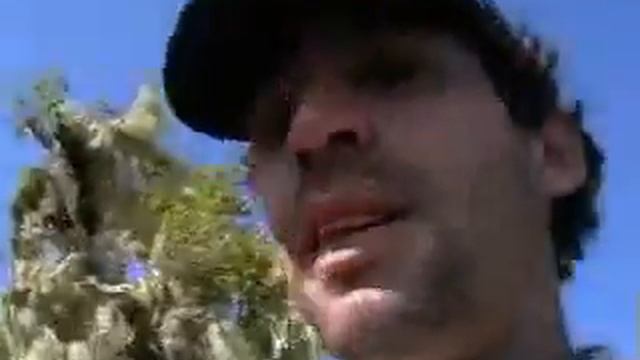 Pic de Basilé (3011m) смотреть онлайн