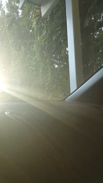 2017 Hyundai Elantra Sport Exhaust Resonator & Muffler Delete Cold Start to Low Idle In-Cabin смотреть онлайн