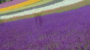 Поклоняюсь