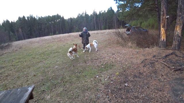 Мы давно хотели проверить это место! смотреть онлайн