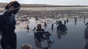 Поехали на Юг со мной!