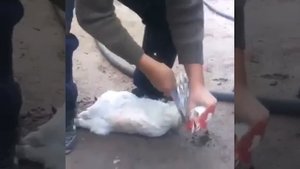 Не может резать курицу😂😂