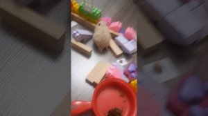 Возвращение хомяка Компота