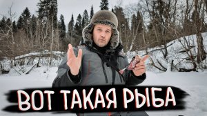 ЗИМНЯЯ РЫБАЛКА: ОБЪЕХАЛ 4 ЯМЫ И НАШЁЛ РЫБУ!