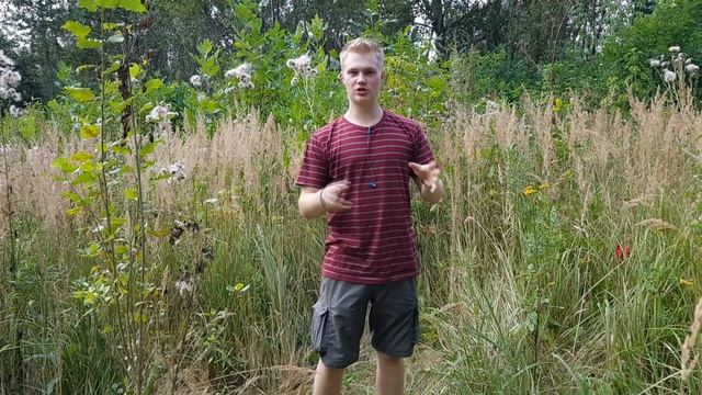 Уничтожил таз (2114) или бизнес на разборе машины! смотреть онлайн