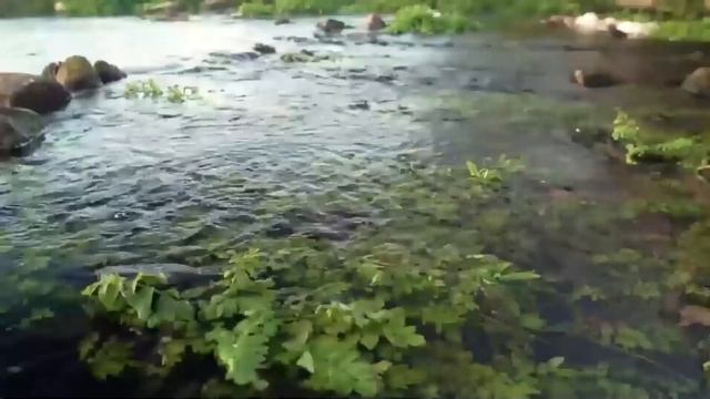 Как незнакомка с ребёнком спасла бизнес и семью: невероятная история Петра, перевернувшая всё! смотреть онлайн