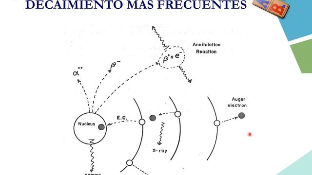 Radioquímica - Decaimiento radiactivo смотреть онлайн