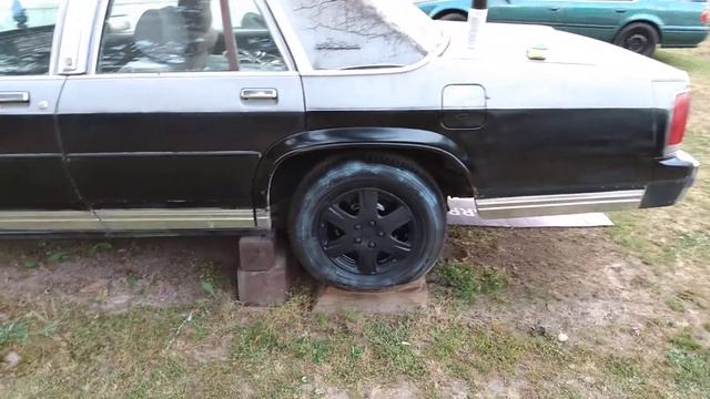 nanoskin blue dressing could this be the best satin tire dressing crown Vic tires смотреть онлайн