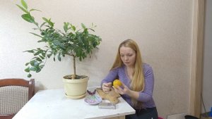Дегустация Лиметта ди Рангпур и миртолистного померанца Чинотто.