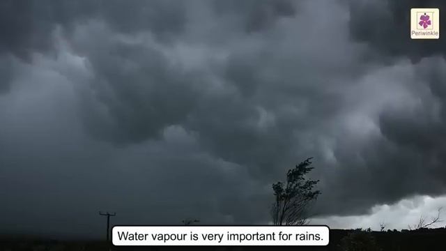 What is Air? | What Does Air Contain? | Science For Kids | Grade 2 | Periwinkle смотреть онлайн