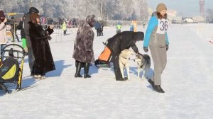 Алтайская зимовка