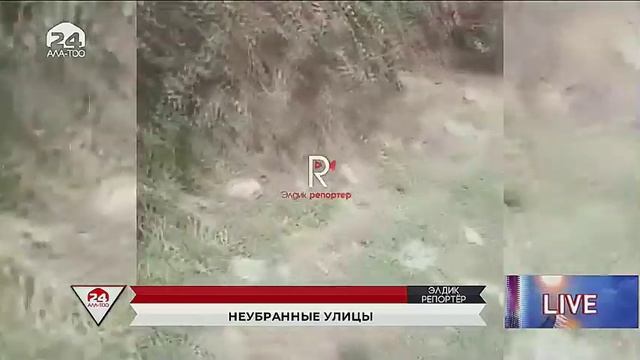 ЭЛДИК РЕПОРТЕР: СВАЛКА ЗАПРЕЩЕНА смотреть онлайн